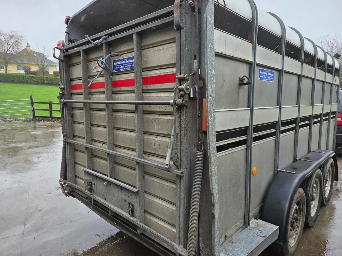 Ivor Williams cattle trailer - Image 3