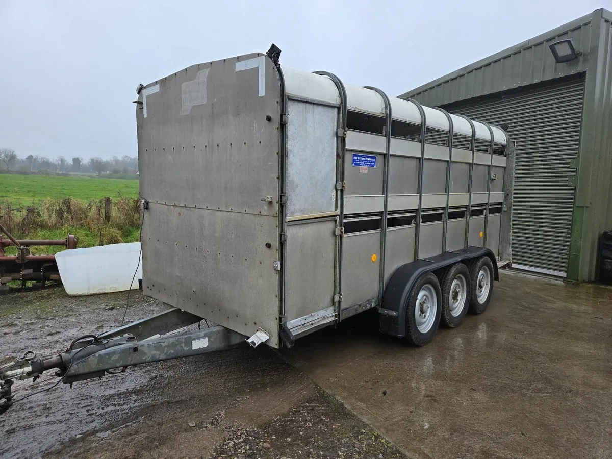 Ivor Williams cattle trailer - Image 4