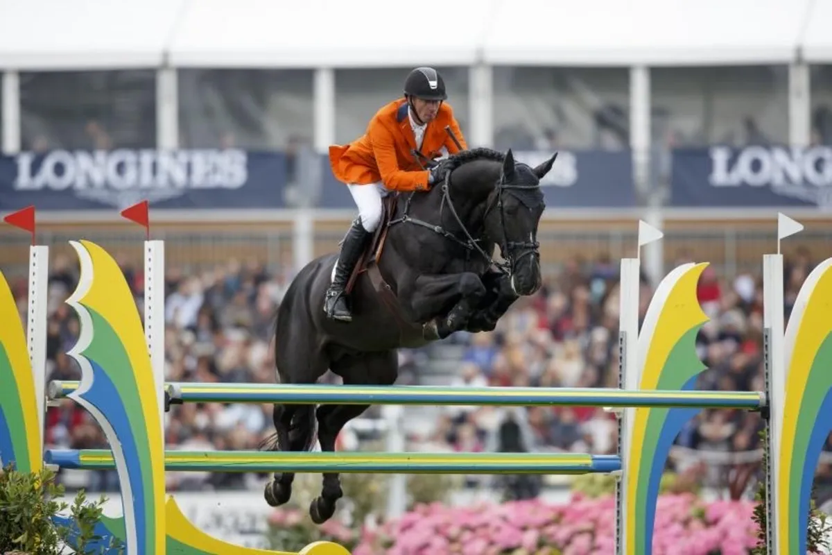 2023 VDL Glasgow Filly - Image 4