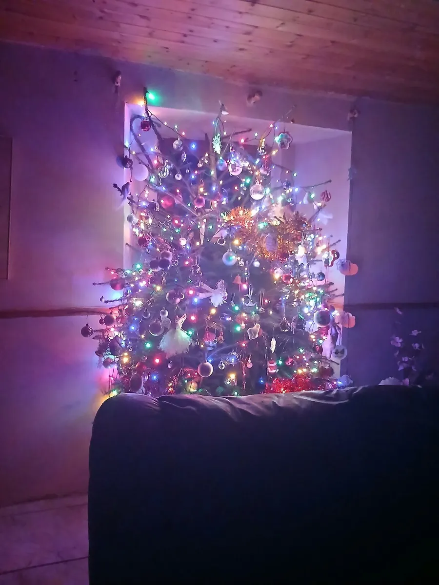 Christmas trees - Image 4