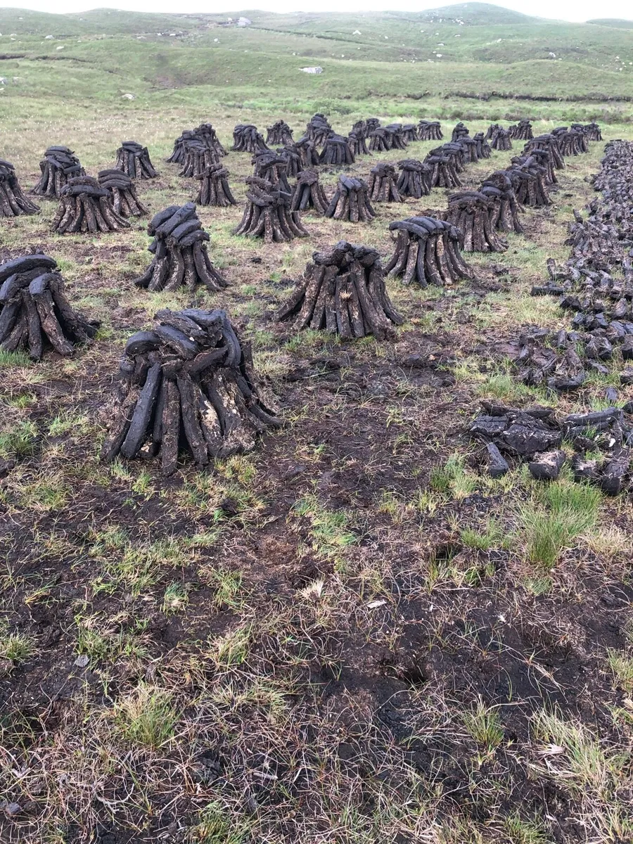 Seasoned hardwood - Image 4