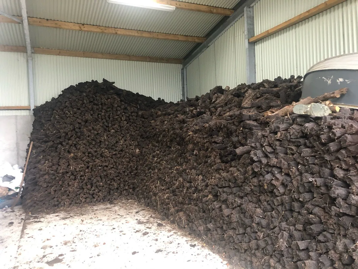 Fuel / Seasoned hardwood - Image 1