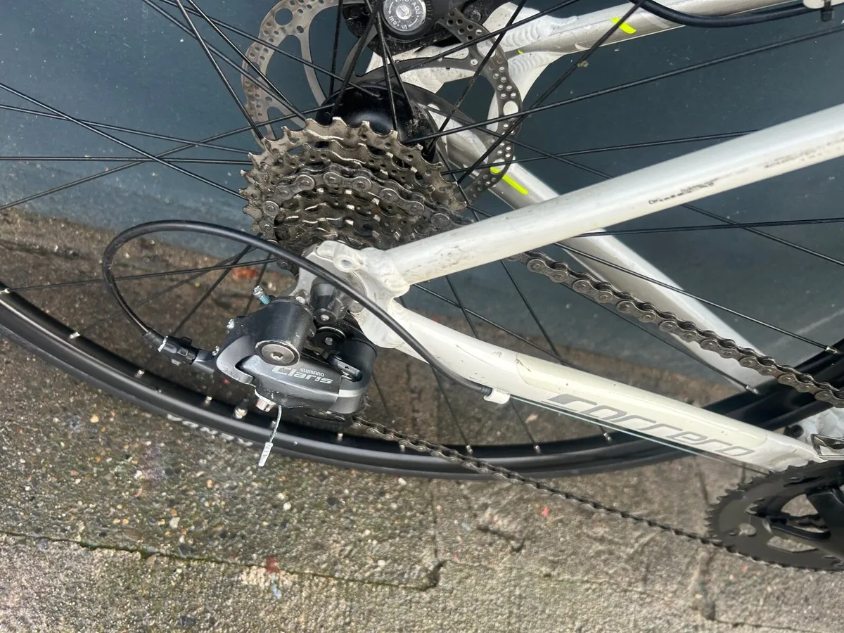 Carrera Virtuoso ❗️Open 7 days of the week ❗️ - Image 3