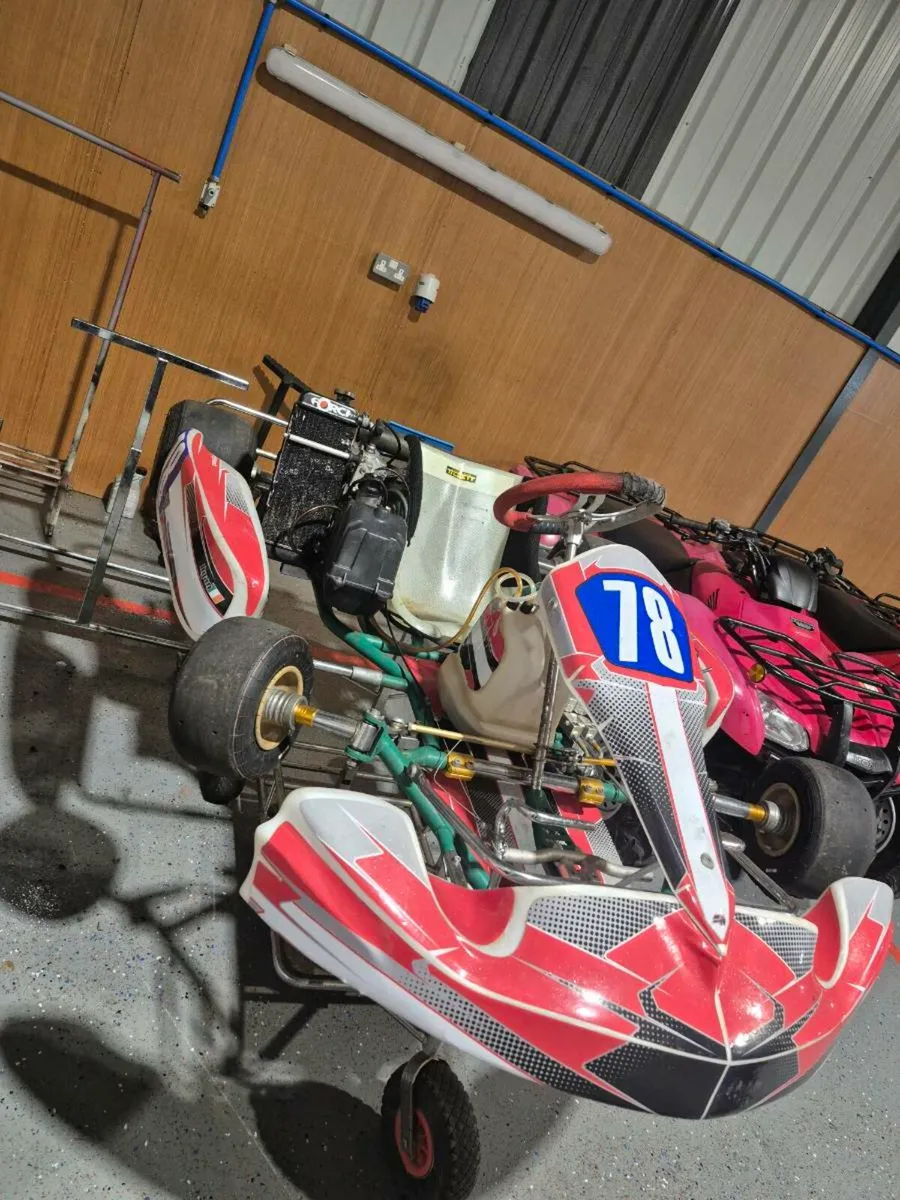 Tony kart Junior - Image 3