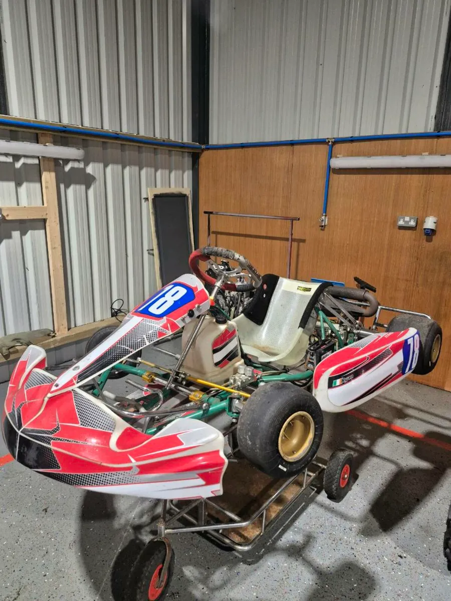 Tony kart Junior - Image 1