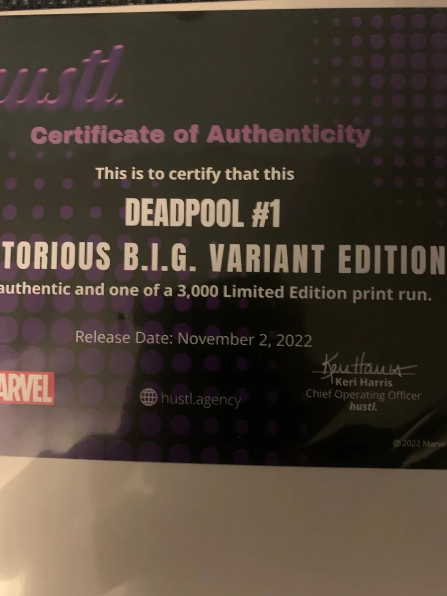Deadpool  Ltd editor - Image 4