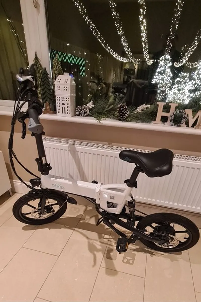 Fiido d2s ebike Foldable, with Throttle - Image 1