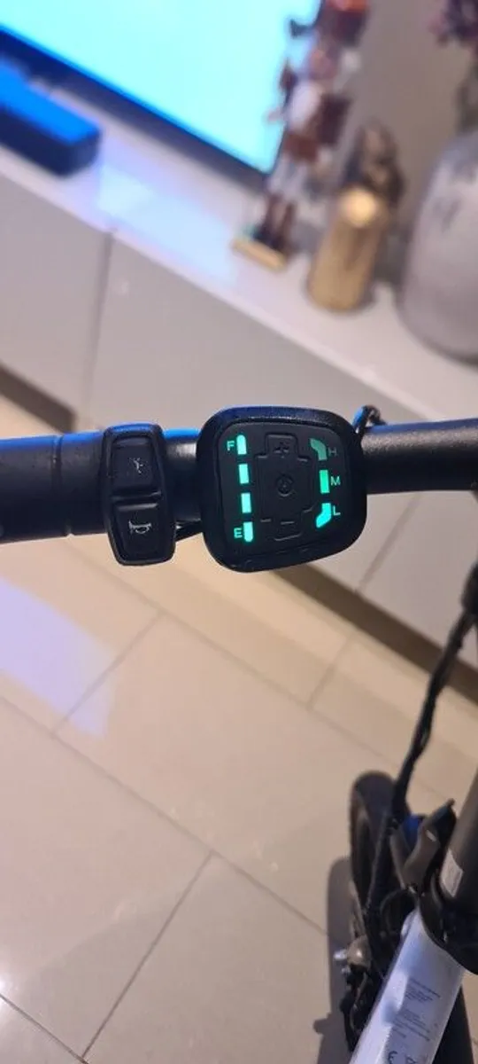 Fiido d2s ebike Foldable, with Throttle - Image 3