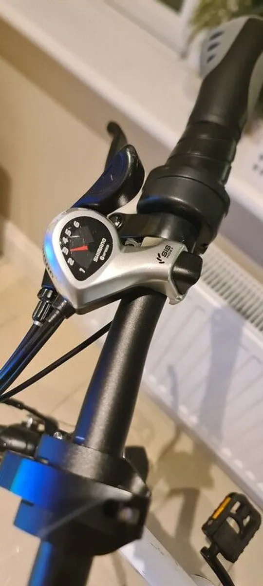 Fiido d2s ebike Foldable, with Throttle - Image 4