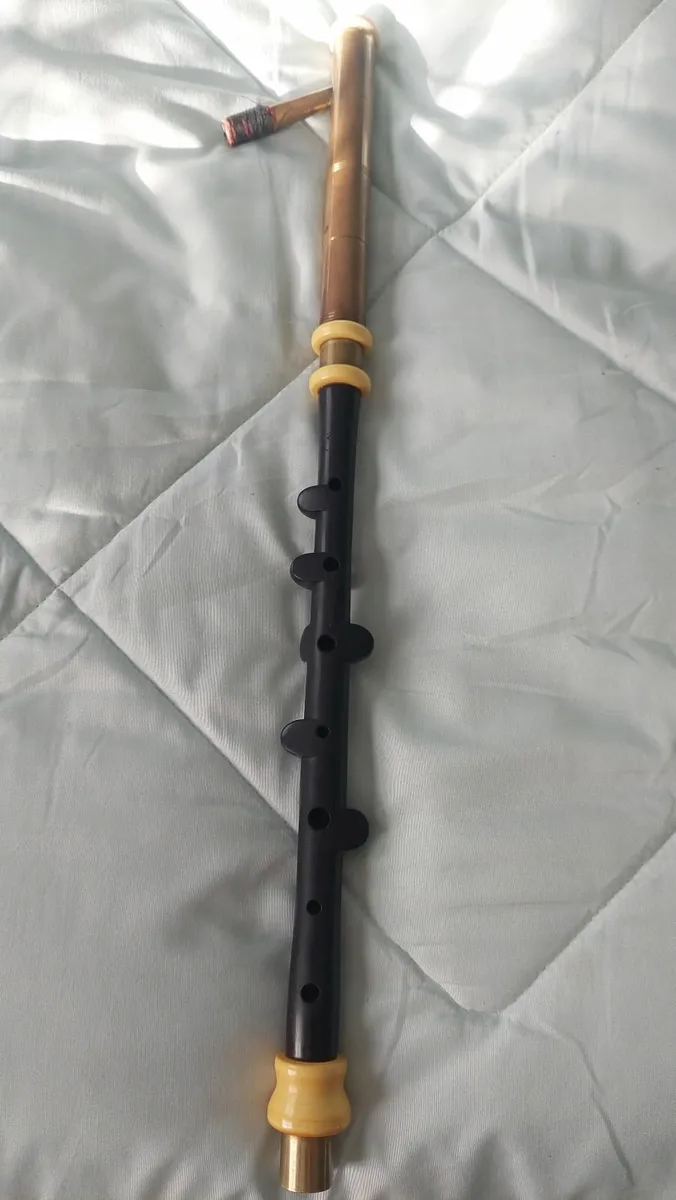 Michael Vignoles Uilleann Pipes Practice Set - Image 4