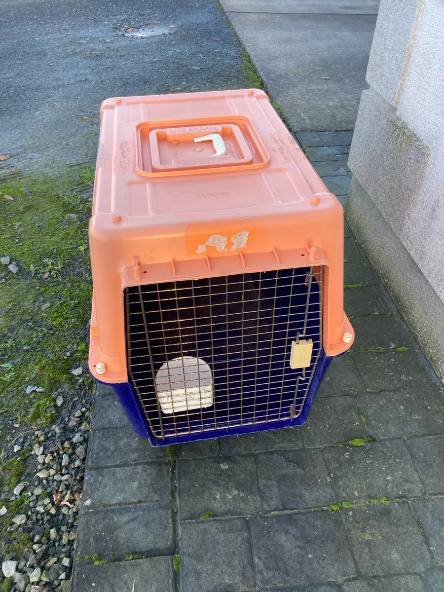 Dog box - Image 1