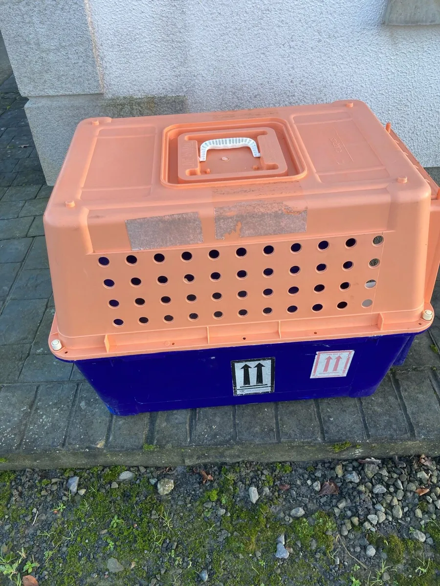 Dog box - Image 2