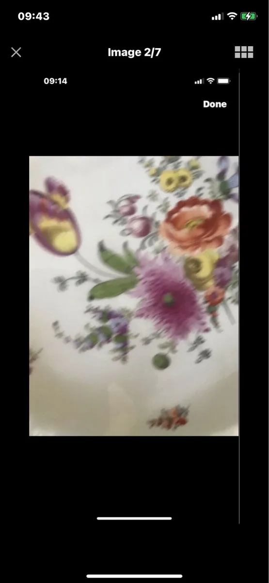 Antique Meissen Hand Painted Dish - Image 2