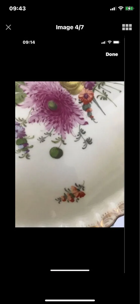 Antique Meissen Hand Painted Dish - Image 4