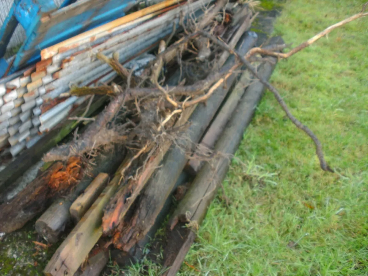 Free timber, firing or corner esb post - Image 2