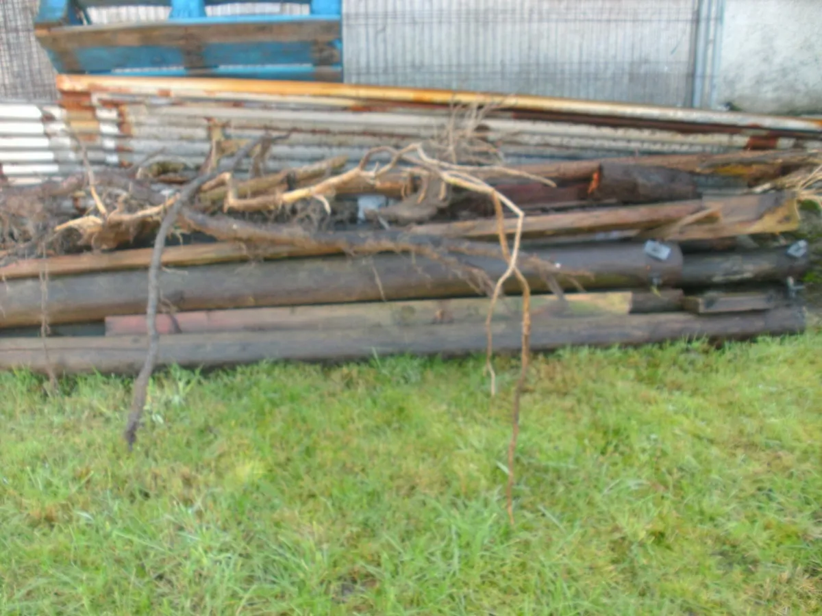 Free timber, firing or corner esb post - Image 3