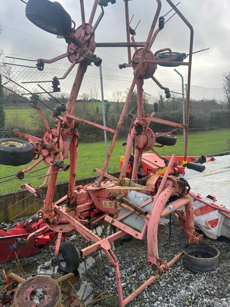 KUHN TEDDER - Image 1