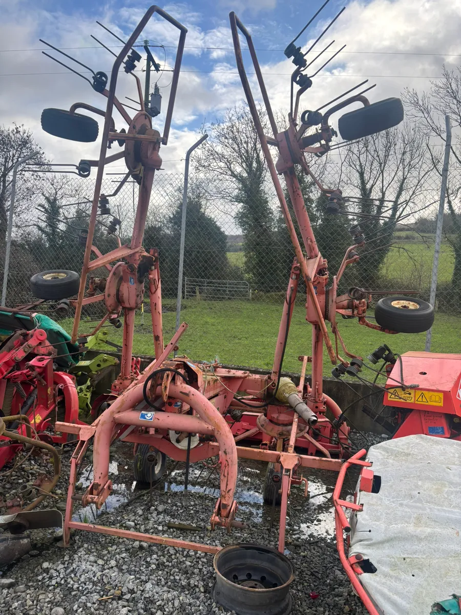 KUHN TEDDER - Image 2