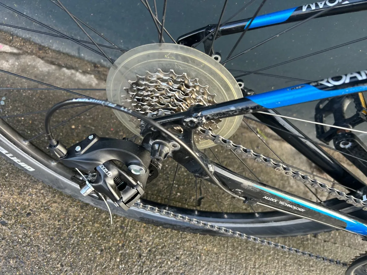 Giant Roam  ❗️Open 7 days of the week ❗️ - Image 4