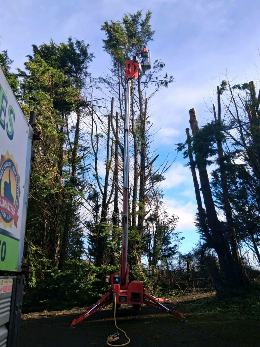 Multitel smx 250 lift - Image 3