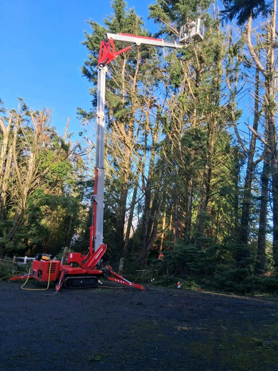 Multitel smx 250 lift - Image 1