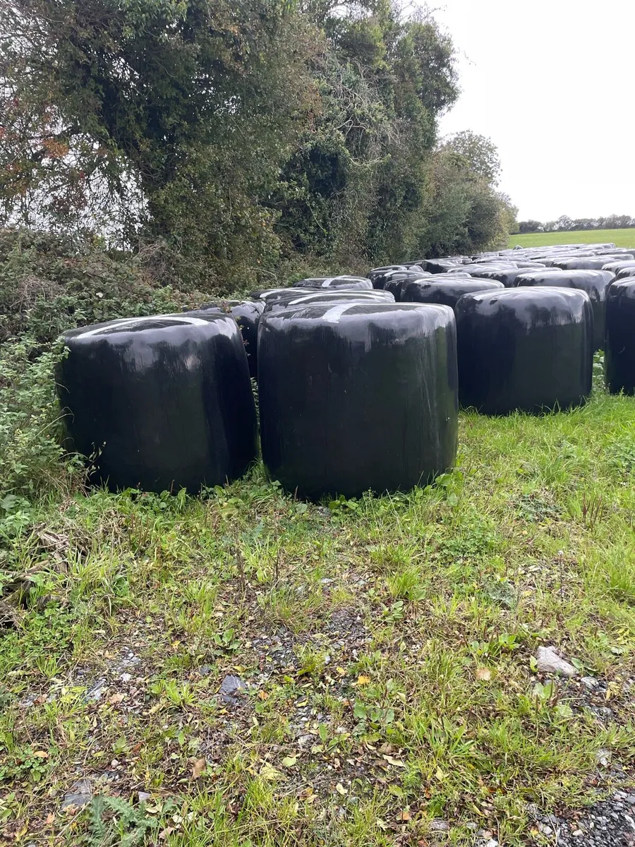 Bails of Haylige - Image 1