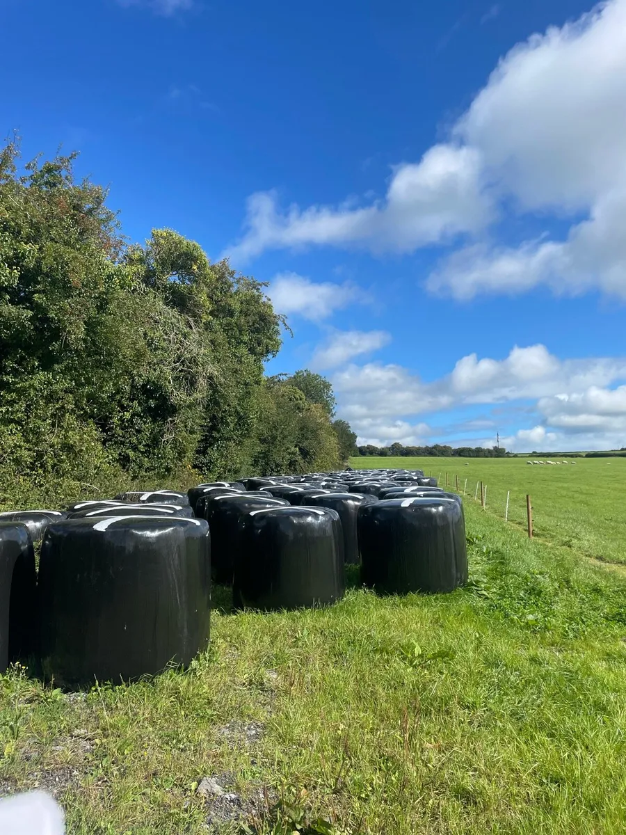 Bails of Haylige - Image 4