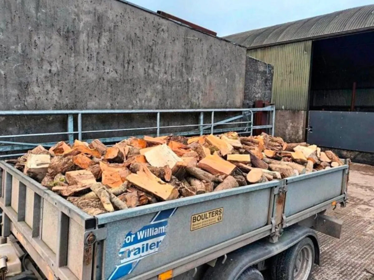 Seasoned Firewood Athlone - Image 1