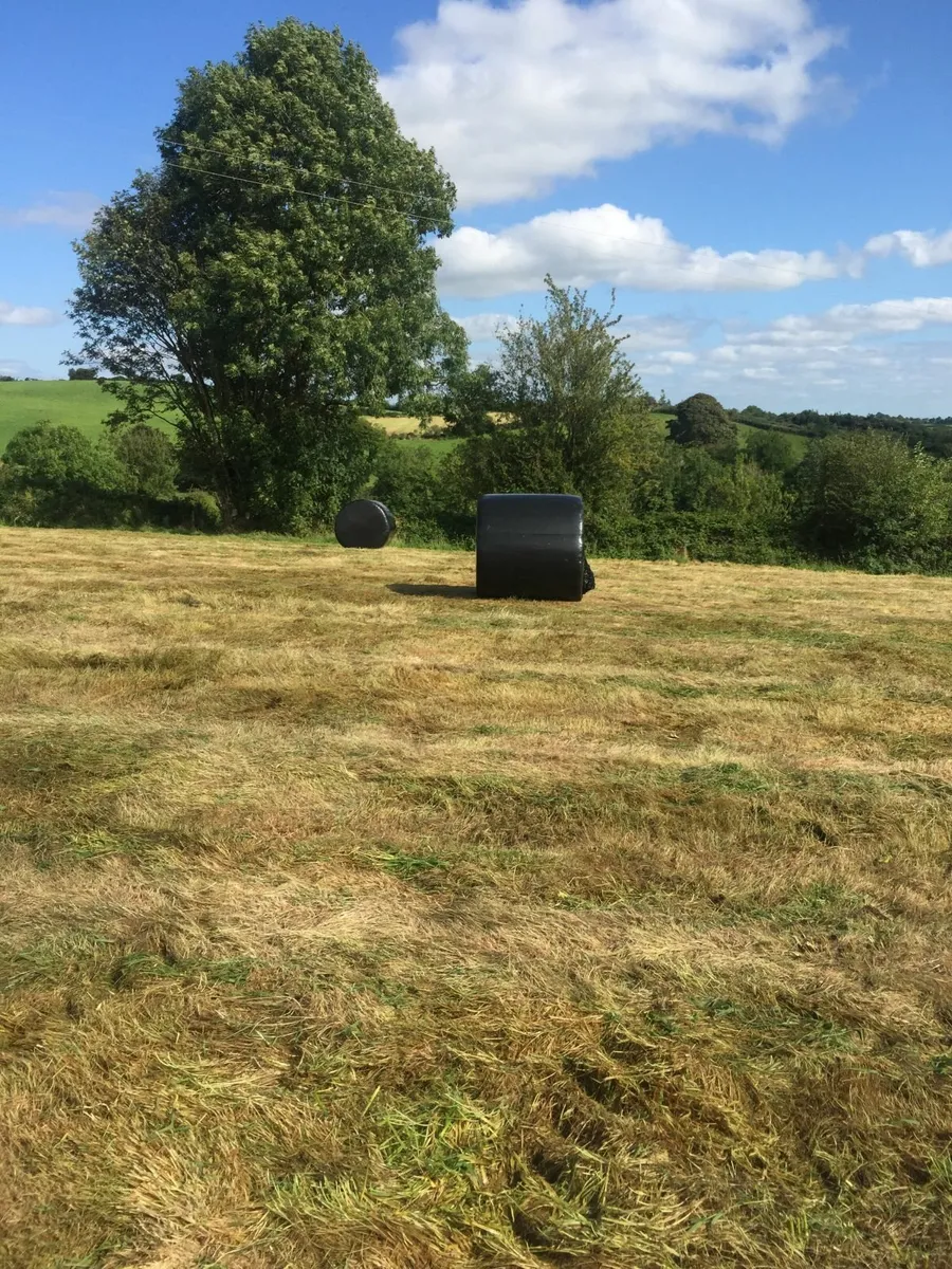 bales - Image 1