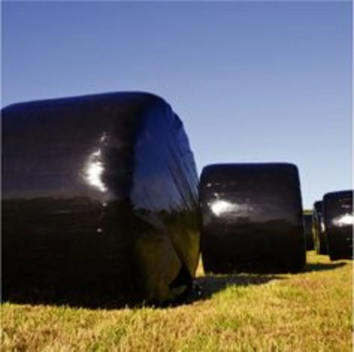 bales - Image 3