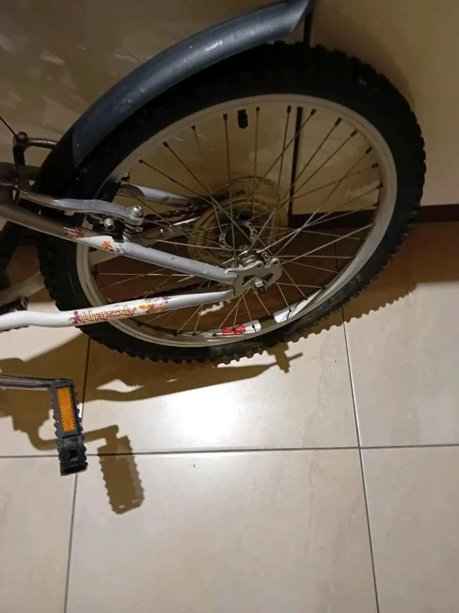 GIRLS BICYCLE 20 INCH WHEELS - Image 3