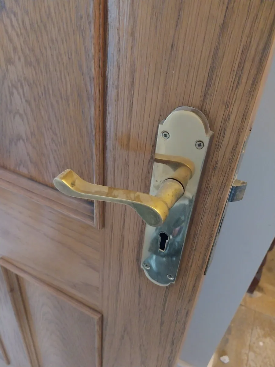 Solid timber Internal Door with handles - Image 2