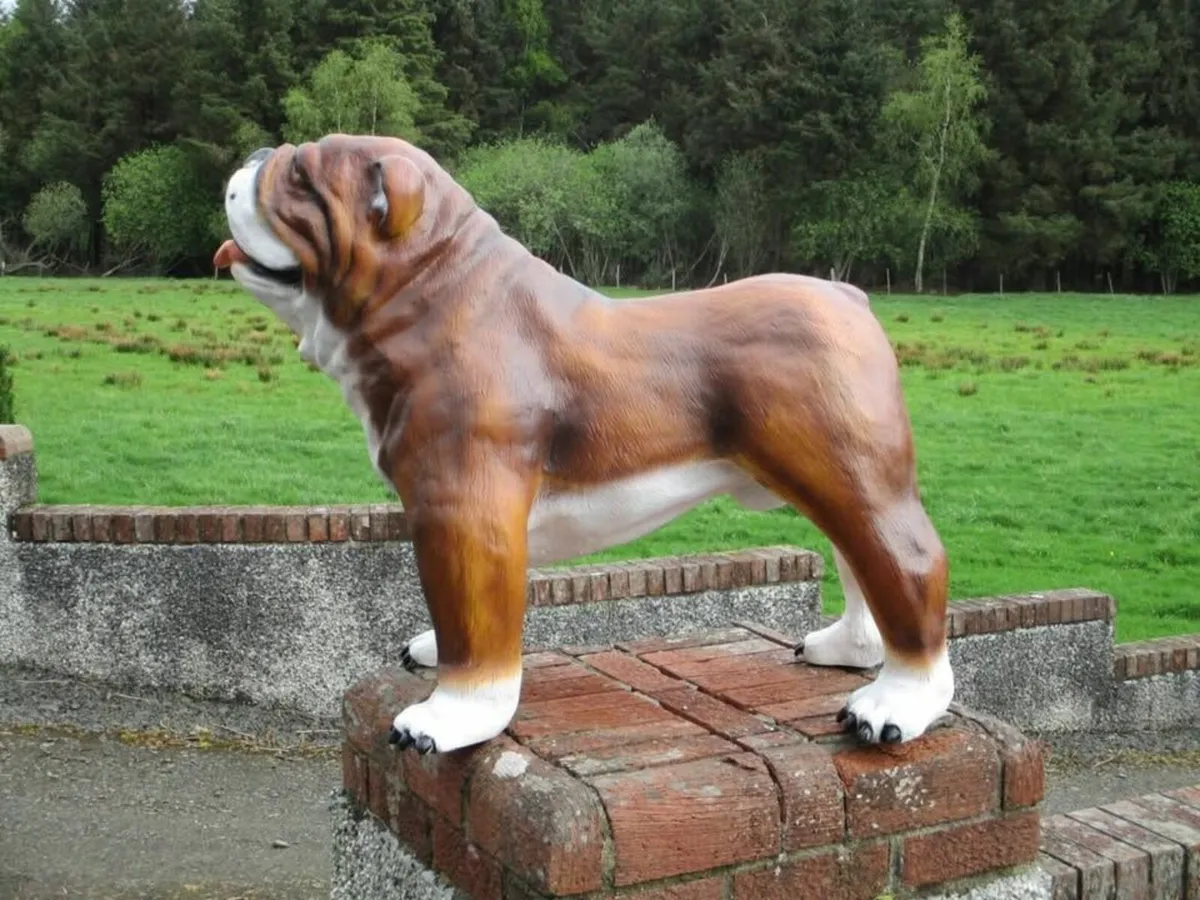 Large Fibreglass Bulldog - Image 1