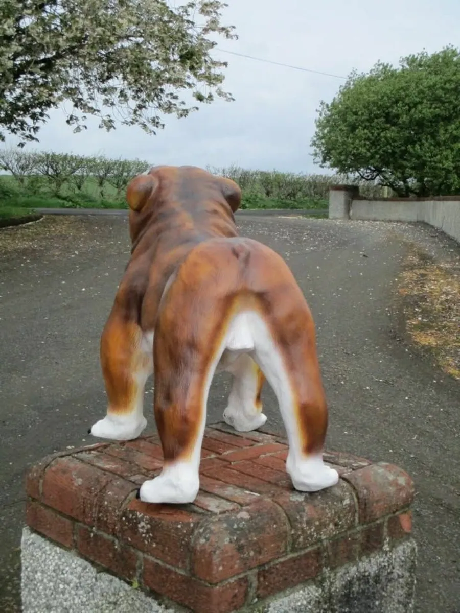 Large Fibreglass Bulldog - Image 4