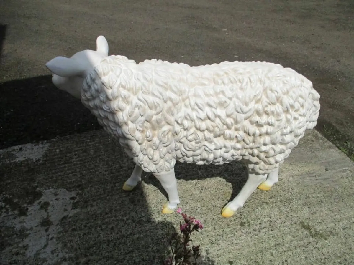 Large Fibreglass Sheep - Image 4