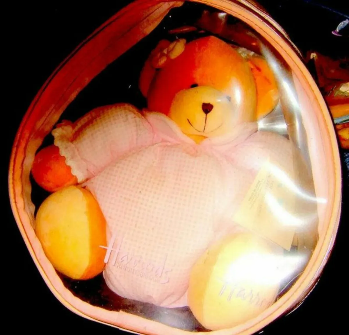 BNIB Harrods 'Teddie' - Image 4