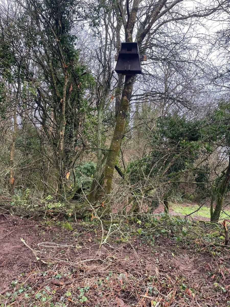 *ACRES Owl Boxes* - Image 4