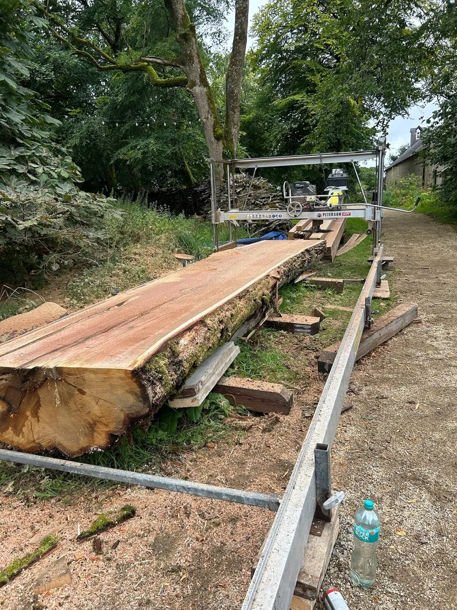Saw milling service - Image 4