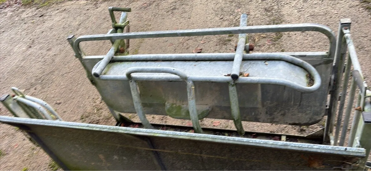 Sheep turnover crate - Image 2