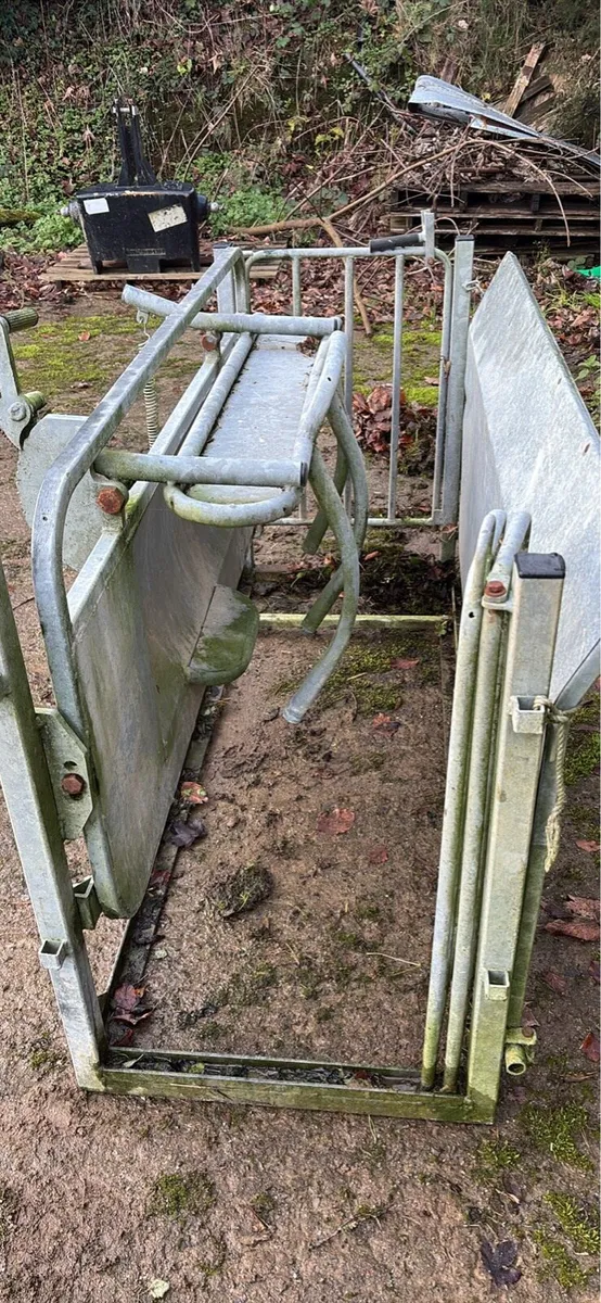 Sheep turnover crate - Image 3