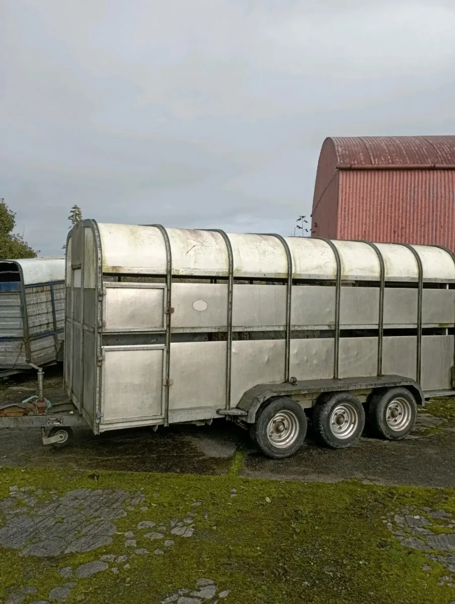 Cattle trailer