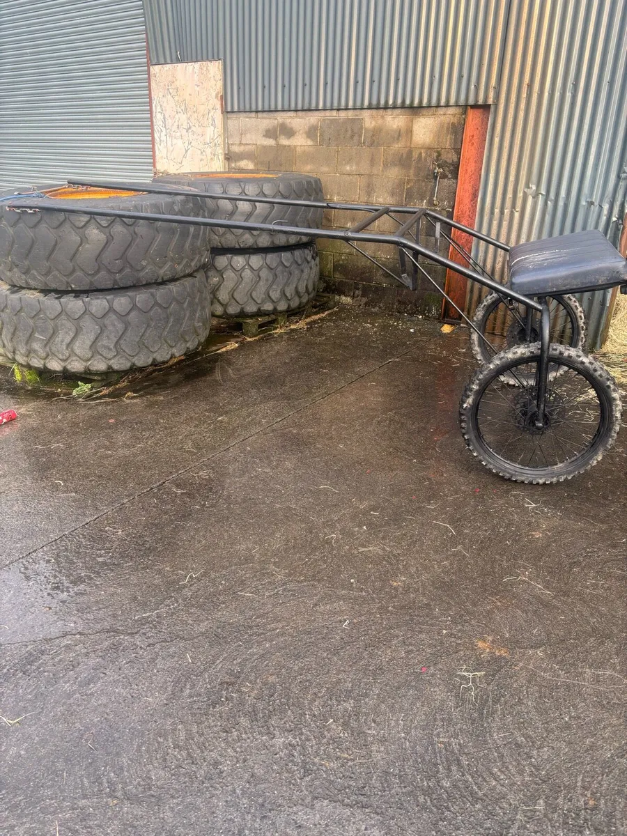 Horse cart - Image 1