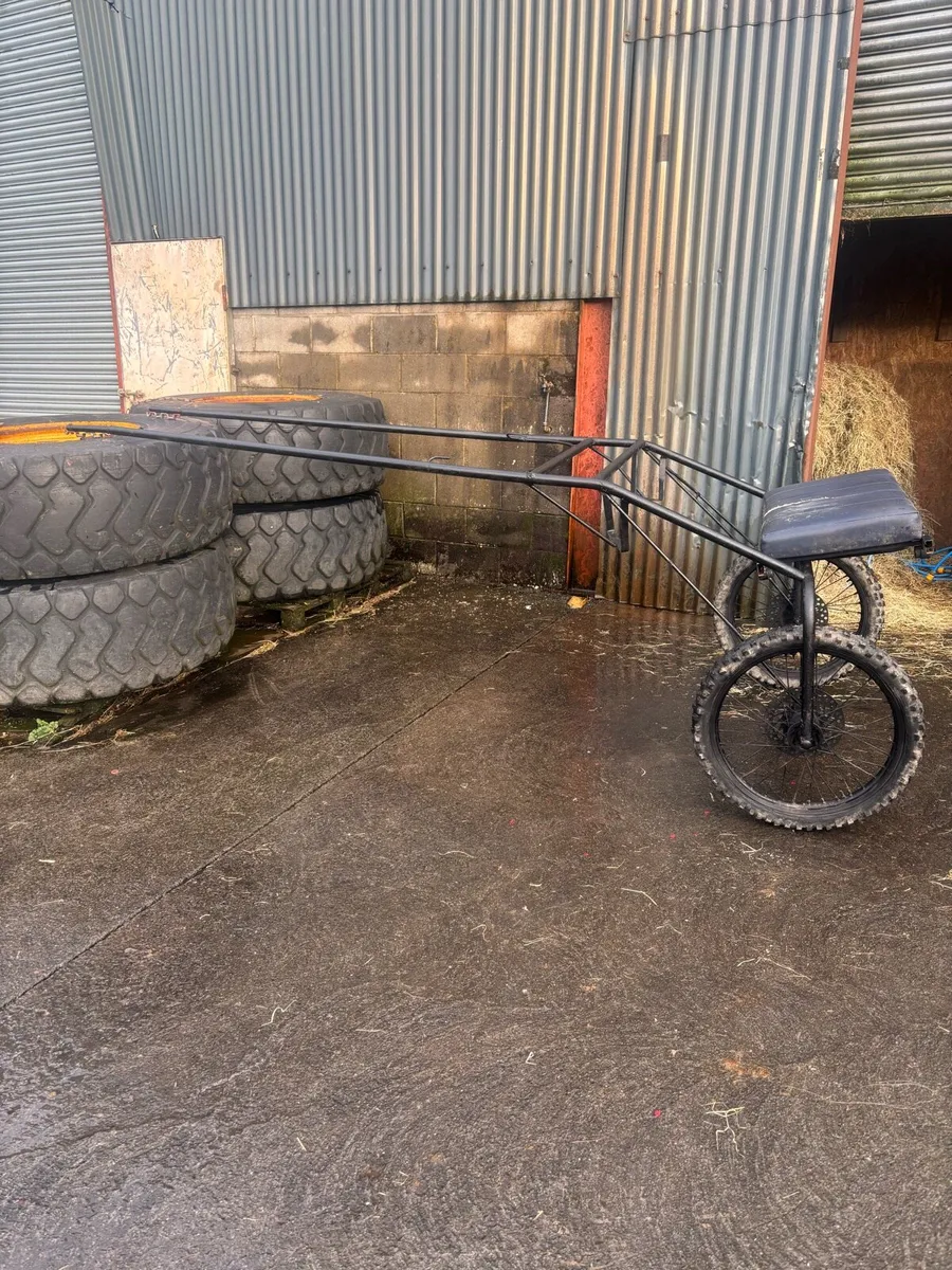 Horse cart - Image 2