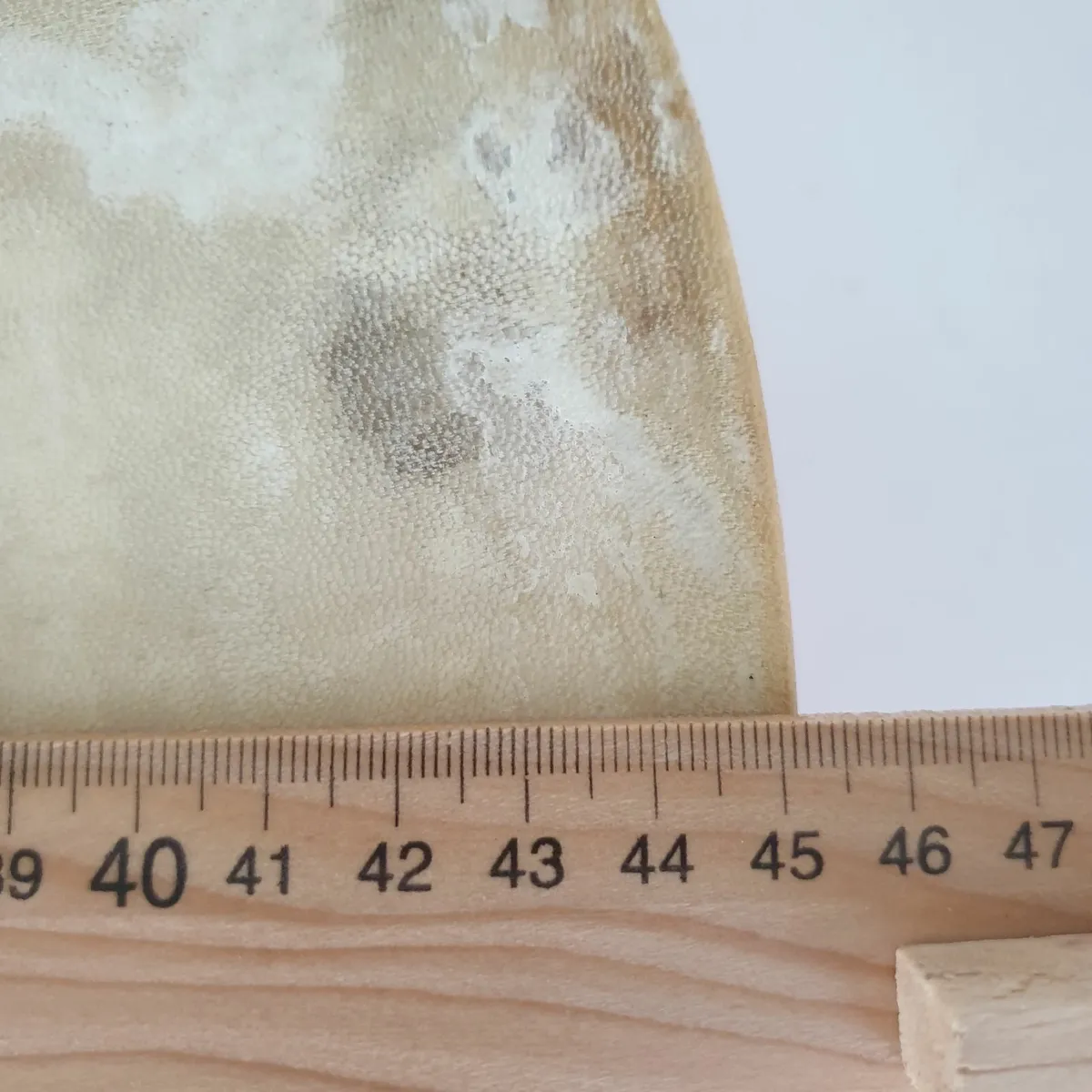 Bodhran with 2 beaters vintage - Image 4