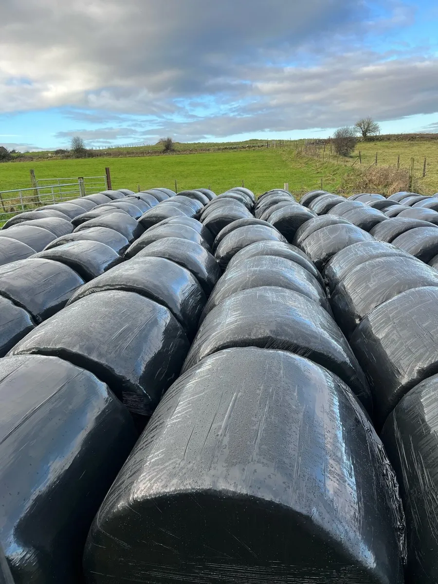 Silage bales