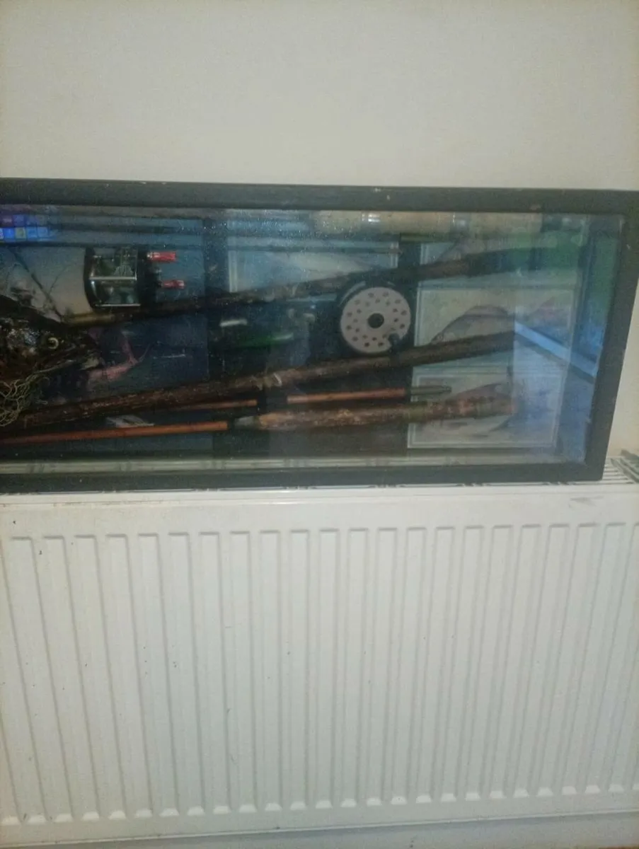Antiques trout display - Image 3