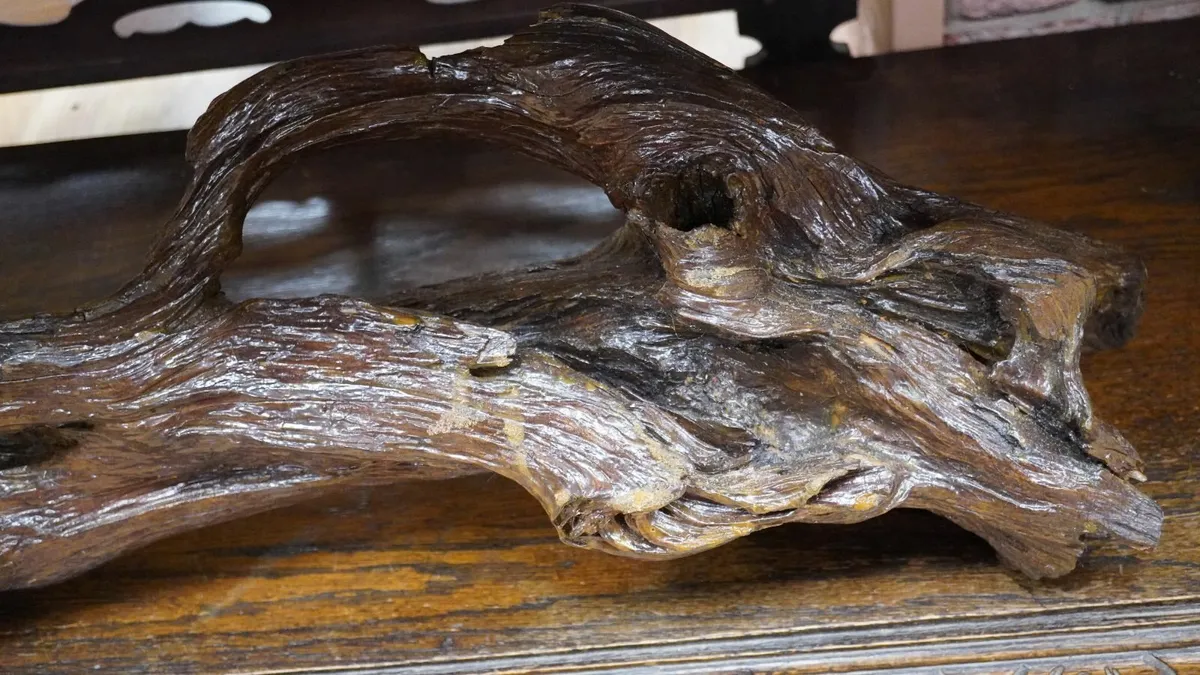 Bog Oak Root Table Sculpture - Image 4