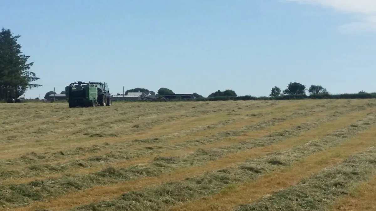 Silage Bales - Image 1