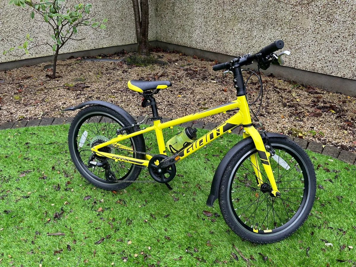 Giant ARX 20 - Image 1