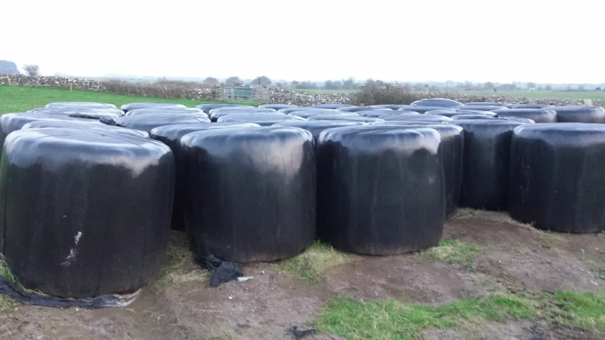 Silage Bales - Image 2